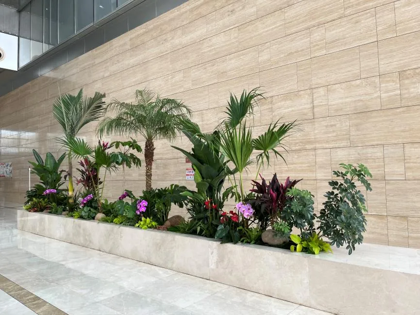 宁波奉化绿植出租公司，用绿植扮靓您的生活